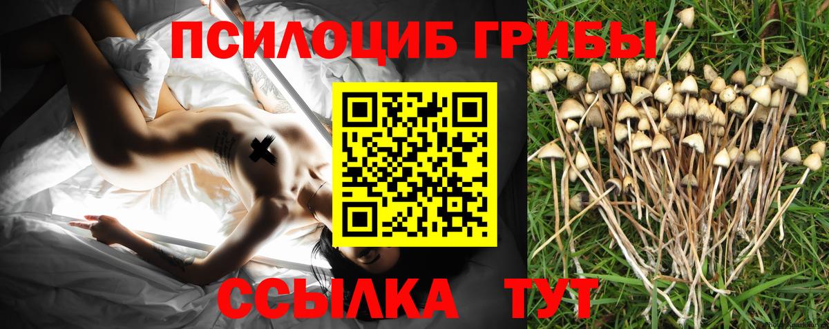 Псилоцибиновые грибы Psilocybe  Вход с VPN  Воскресенск 